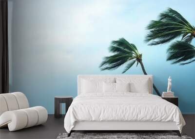 Galeforce winds bending palm trees during a tropical storm, extreme weather, powerful wind Wall mural