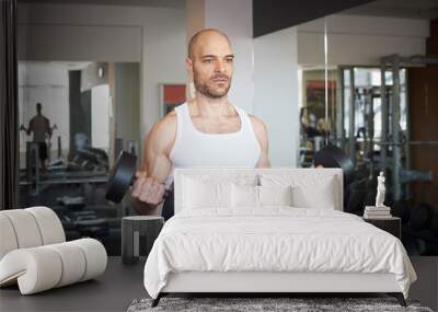 Man training with dumbbell workout in the gym Wall mural