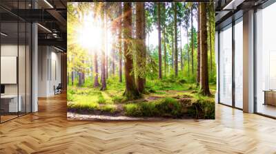 Beautiful forest in spring with bright sun shining through the trees Wall mural