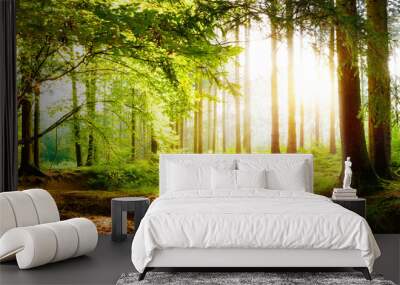 Beautiful forest in spring with bright sunlight in the fog Wall mural