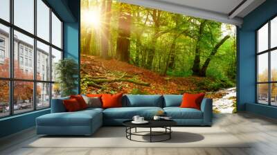 Forest with a stream and bright sun shining through the trees Wall mural