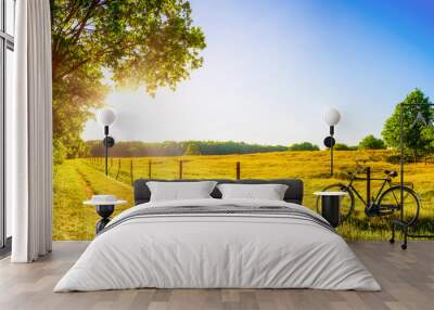 Landscape in summer with trees and meadows in bright sunshine Wall mural