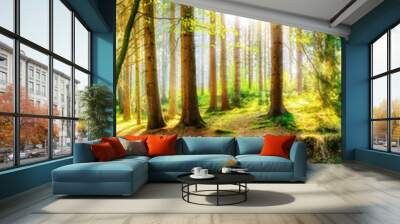 Spring forest with bright sun shining through the trees Wall mural