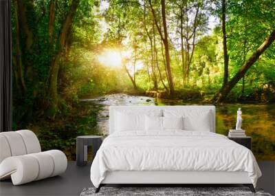 Stream through the forest in the bright light of the sun Wall mural