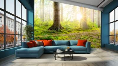 Sunrise in a foggy forest with bright sun shining through the trees Wall mural