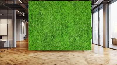 Texture of an even green lawn as a background Wall mural