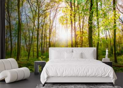 Wonderful forest panorama in spring with bright sun Wall mural