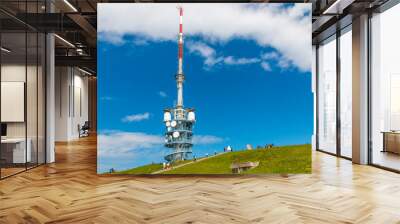 Great view of the 96-metre high Swisscom communication tower on Rigi Kulm in the middle of a meadow. The free-standing tower serves as the antenna carrier and has an accessible visitor platform. Wall mural