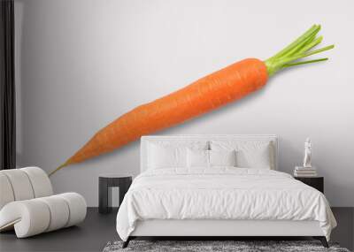 Carrot on a white background Wall mural