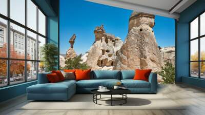 Picturesque rock formations in Pasabag valley. Destination landmark in Turkey Wall mural