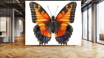 isolated photo of a flat butterfly cut out Wall mural