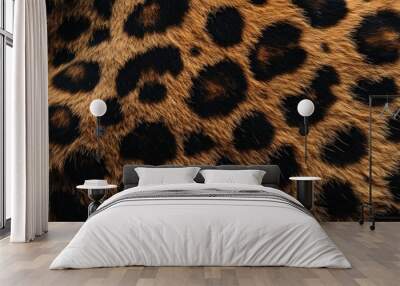 Closeup of a leopard's fur with black spots. Wall mural