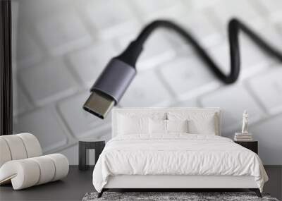 Close up, on computer keyboard cord with adapter. Usb input for tablet lies on keyboard. Self-training on computer and accessories. External sound card for laptop. Wire to connect to device Wall mural