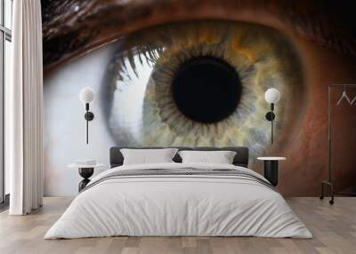 Closeup, healthy green human pupil, eye diagnosis Wall mural