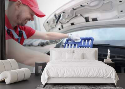 Man repairman taking tools from suitcase on open hood of car Wall mural