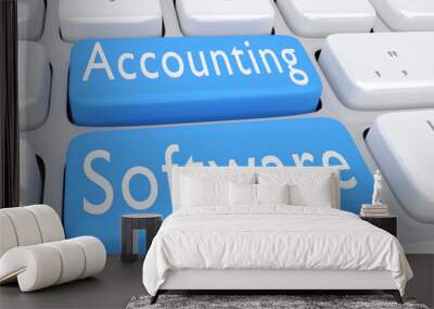 Accounting Software concept Wall mural