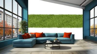 Green grass or turf strip on white background Wall mural