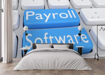 payroll software concept Wall mural