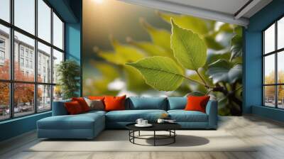 beautiful nature background Wall mural