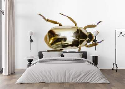 golden beetle Wall mural