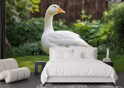 Beautiful white goose in the garden. Wall mural