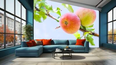 Two apples on a branch close up Wall mural