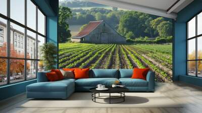 Lush green rural landscape with a rustic barn and crops in field during a bright summer morning Wall mural