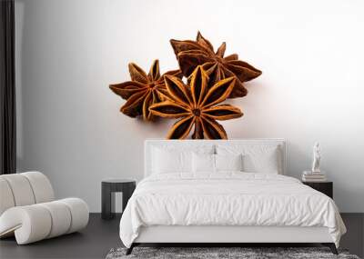 group of dried star anise on white background Wall mural