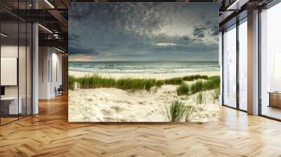 Beautiful see landscape panorama, dune close to Baltic See, Slowinski National Park, Poland Wall mural