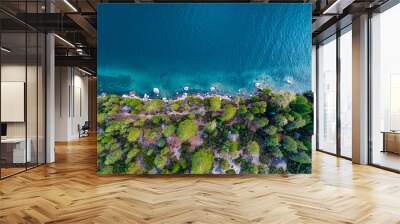 Drone view of the shore at Lake Tahoe California Wall mural