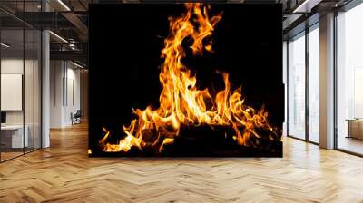 Fire flames burning isolated on black background. High resolution wood fire flames collection smoke texture background concept image. Wall mural