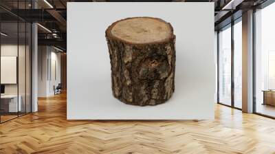 Tree stump, cut tree bough isolated on white background, timber, wooden stump half-cut billet, front view Wall mural