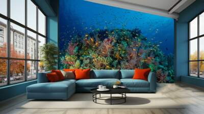 Coral garden in the red sea Wall mural