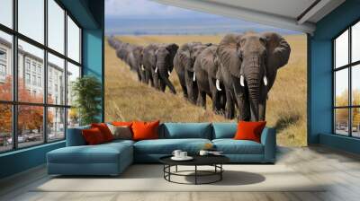 elephant herd walking savannah Wall mural