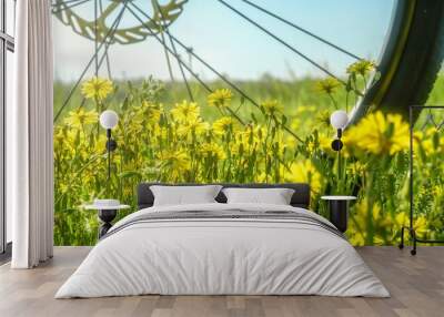 Bike sit in the yellow wild flower and grass Wall mural