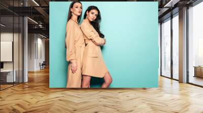 Two young beautiful brunette girls in nice trendy summer clothes.Sexy carefree women posing near blue wall in studio.Fashionable models with bright evening makeup.They hug and touch each other Wall mural