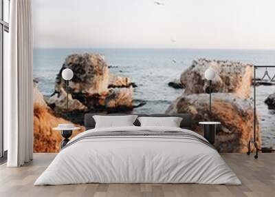 California coast  Wall mural