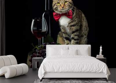 a cat in a tie sitting on a wine barrel with a glass of white wine and cheese and honey Wall mural