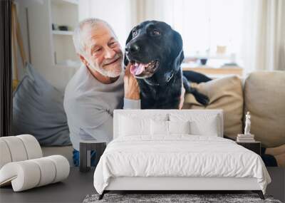 A happy senior man sitting on a sofa indoors with a pet dog at home. Wall mural