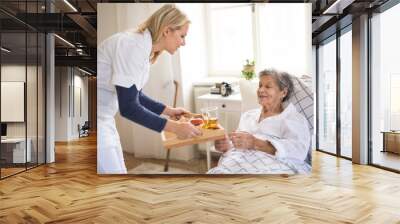 A health visitor bringing breakfast to a sick senior woman lying in bed at home. Wall mural