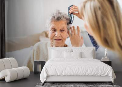 A health visitor combing hair of senior woman at home.. Wall mural