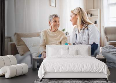 A health visitor explaining a senior woman how to take pills. Wall mural