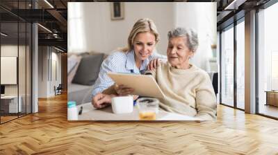 A health visitor measuring a blood pressure of a senior woman at home. Wall mural