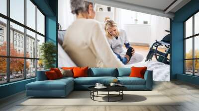 A health visitor putting on slippers on a senior woman at home. Wall mural