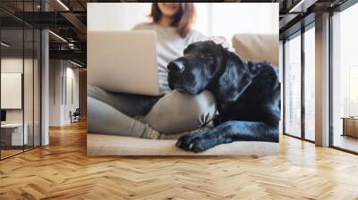 A midsection of teenage girl with a dog sitting on a sofa indoors, working on a laptop. Wall mural