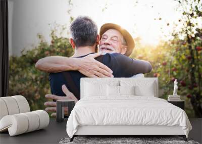 A senior man and adult son standing in apple orchard in autumn, hugging. Wall mural