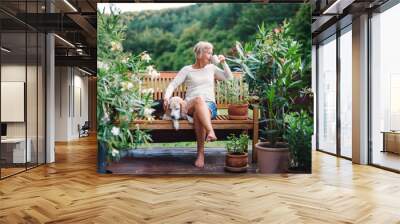 A senior woman with a dog and coffee sitting outdoors on a terrace in summer. Wall mural