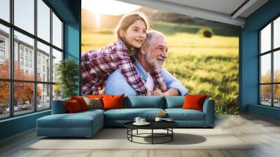 A small girl with grandfather outside in spring nature, relaxing on the grass. Wall mural