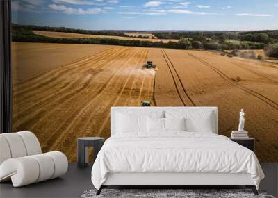 Aerial view of a tractor and harvester working in a field. Agriculture and cultivation of industrial farms. Agribusiness. Wall mural