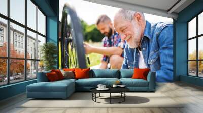 An adult hipster son and senior father repairing bicycle outside on a sunny day. Wall mural